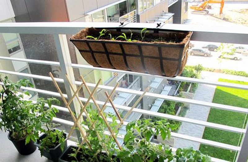 thiết kế ban công chung cư Thiết kế ban công chung cư