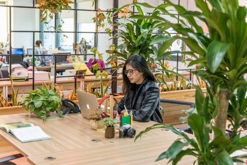 Morehome thiết kế thi công nội thất đẹp Morehome thiết kế thi công nội thất đẹp