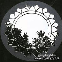Gương hiện đại GDN018