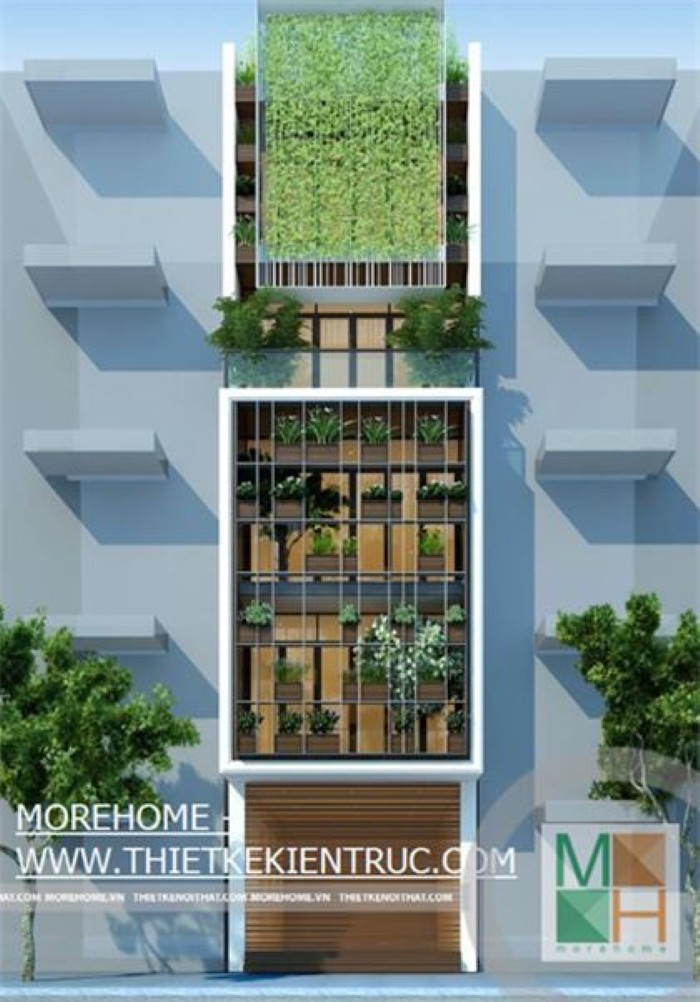 Thiết kế không gian xanh lí tưởng cho nhà phố