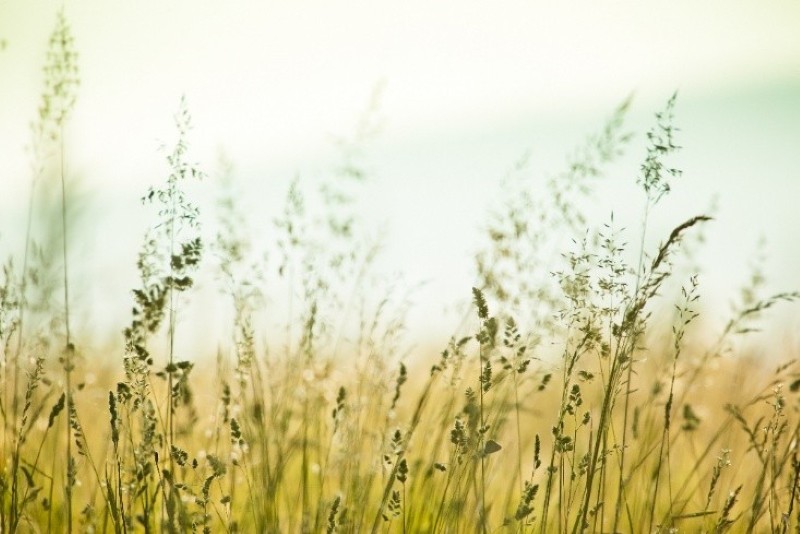 Thiết kế trang trí phòng khách