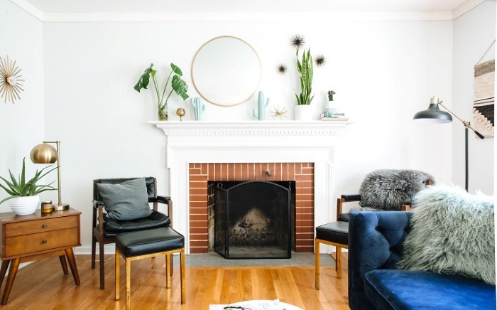 Cây cảnh trang trí trong nhà đẹp