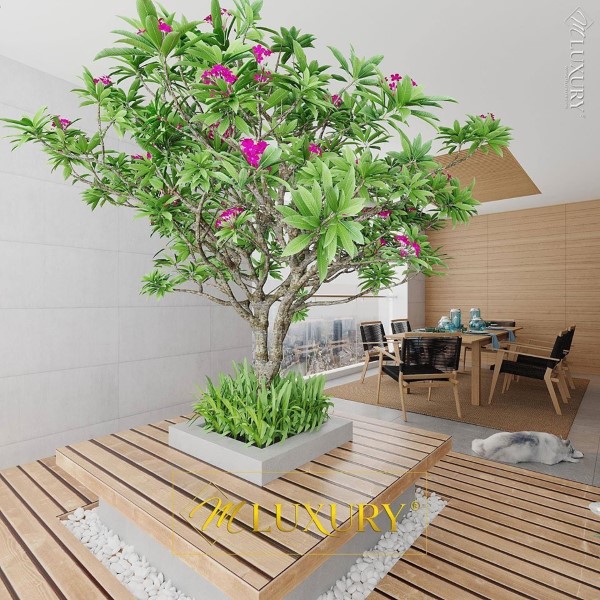 thiết kế nội thất chung cư BID Residence