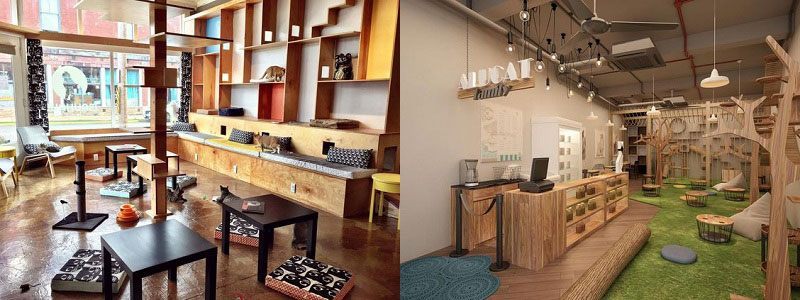 Thiết kế quán cafe Thiết kế quán cafe