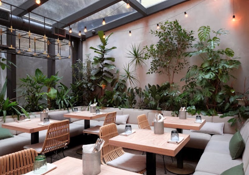 Thiết kế quán cafe