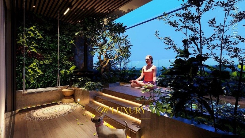 Thiết kế căn hộ penthouse