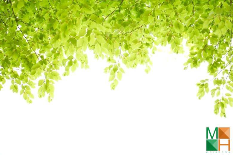 Tranh dán tường Hàn Quốc đẹp