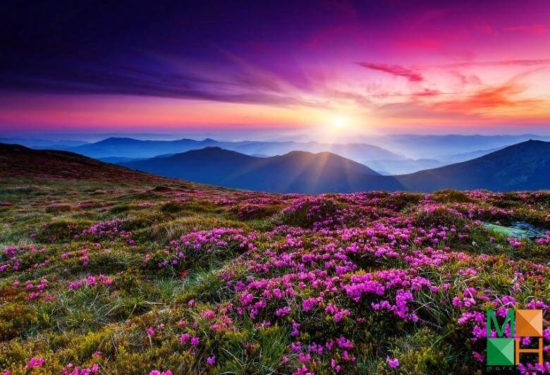 Tranh dán tường Hàn Quốc phong cảnh đẹp