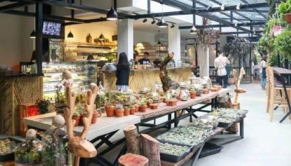 Thiết kế nội thất quán cafe Thiết kế nội thất quán cafe